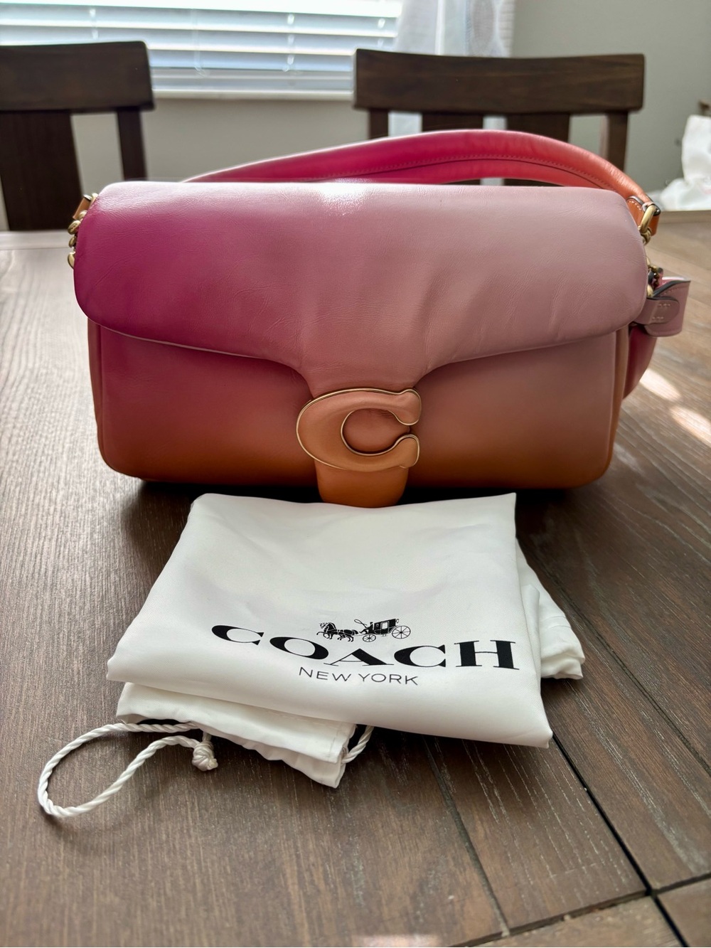 Coach Pillow Tabby 26 in Ombré